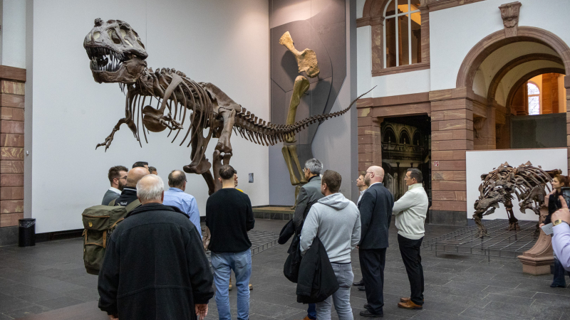 tag der bionik naturkundemuseum