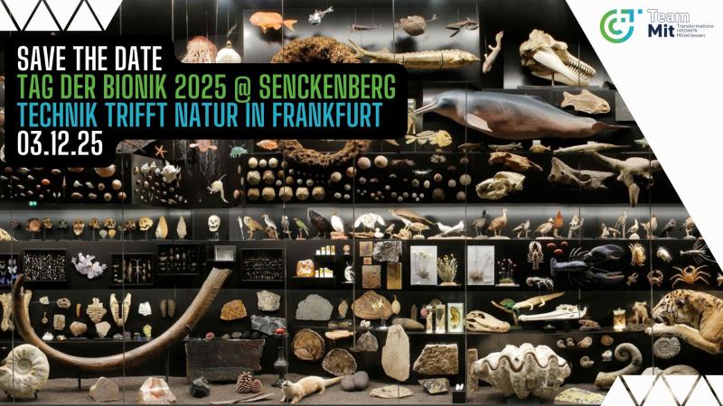 Tag der Bionik 2025