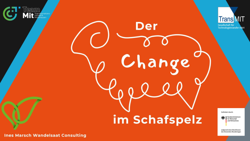 tm teammit change schaf