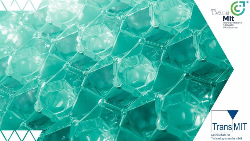 transmit teammit markttrend biokunststoffe folien