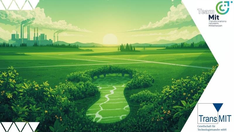 transmit teammit markttrend carbon footprint