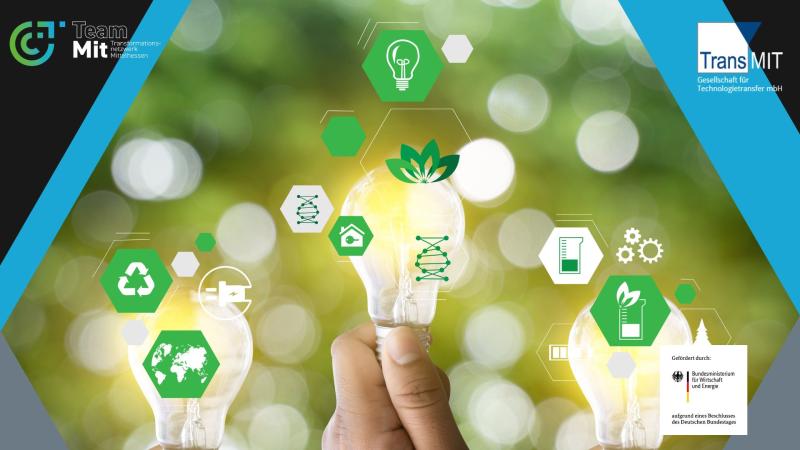 teammit co2 softwarevergleich